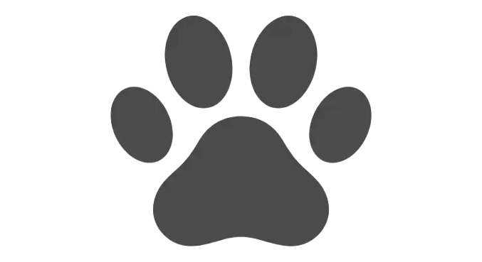 Paw Motif